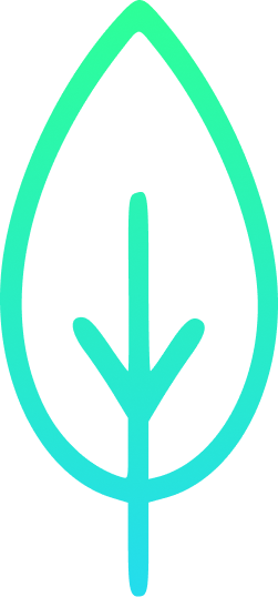 MintBoard